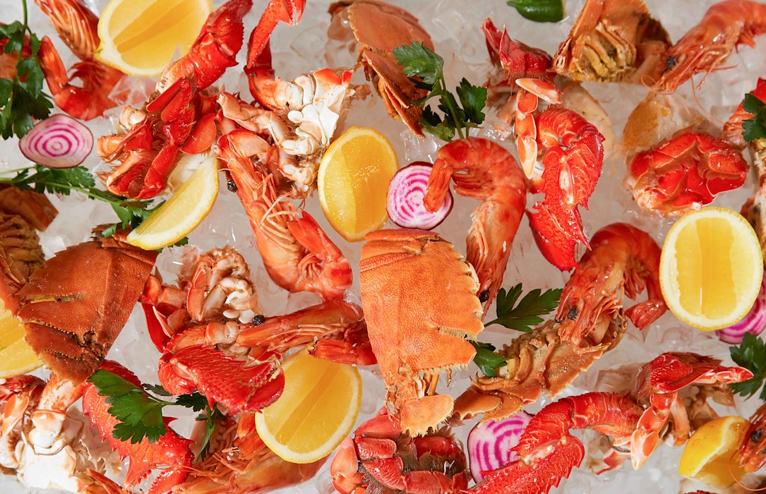 Seafood Restaurant in Surfers Paradise Citrique