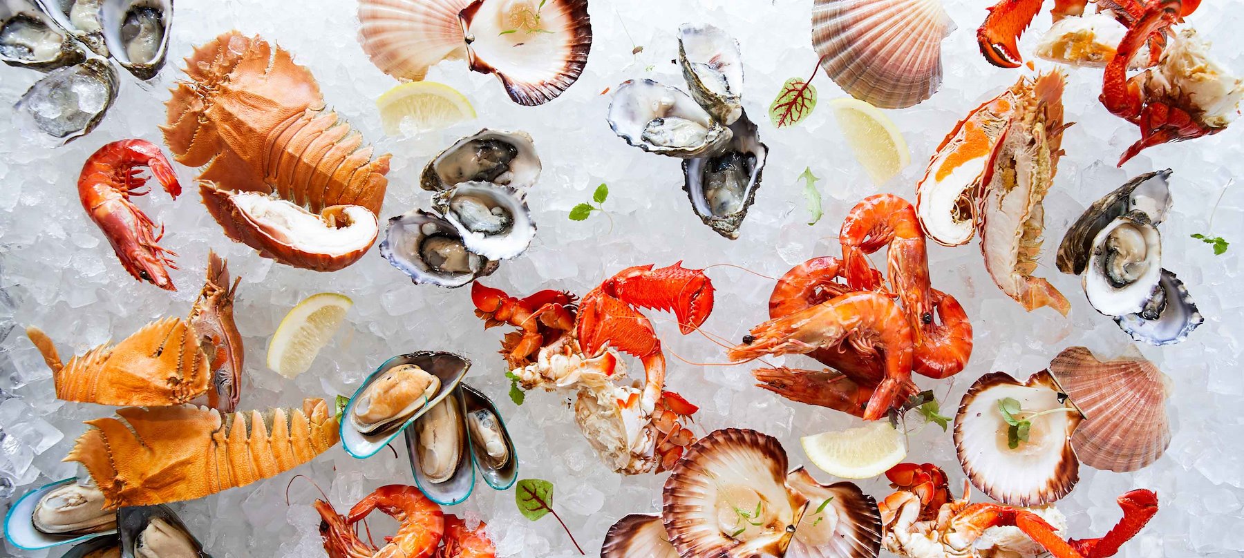 Seafood Restaurant in Surfers Paradise Citrique