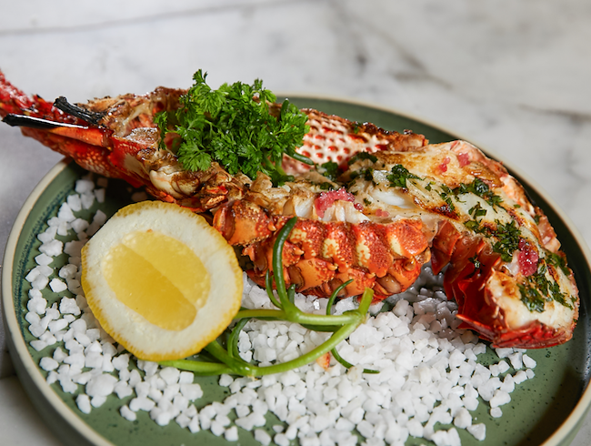 FREE LOBSTER THIS WINTER AT CITRIQUE